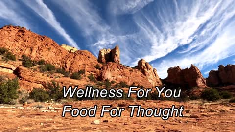 Wellness For You - Good Food - Good Taste1-1